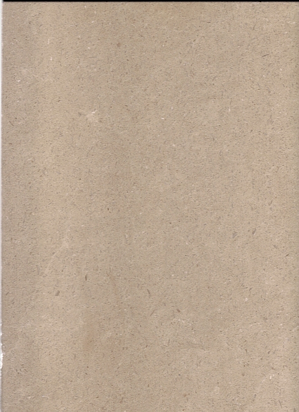 Bally beige vein cut